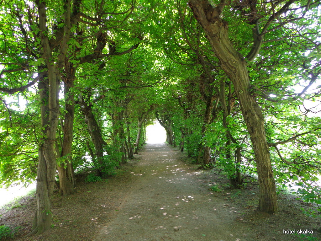 DSC01999