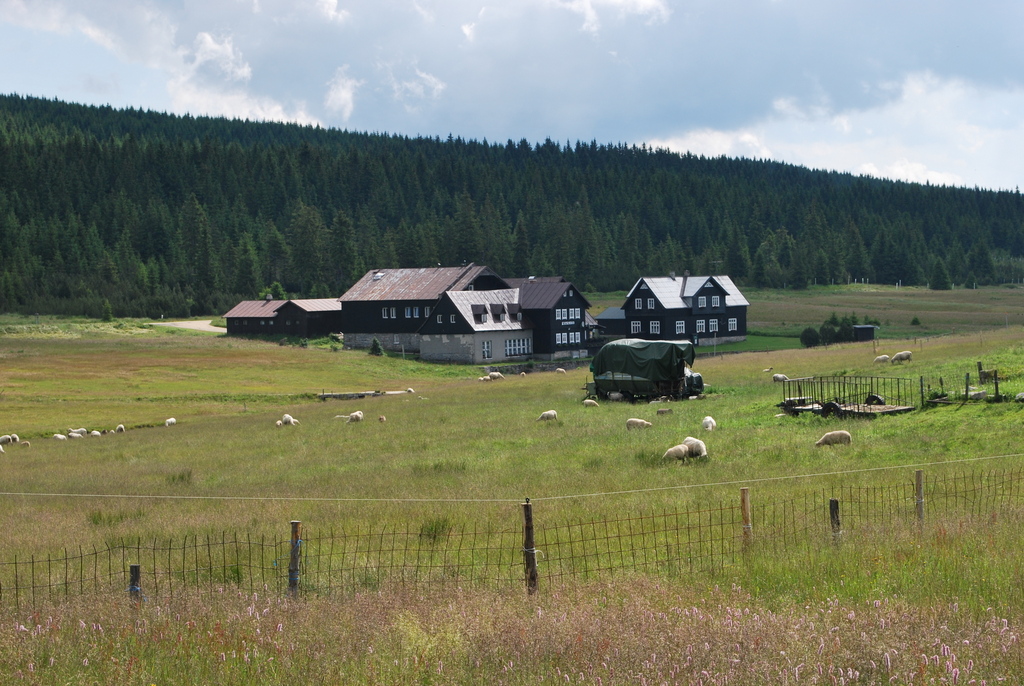 soustředění HSK_Jizerka 28.6.-2.7.2014 (2)