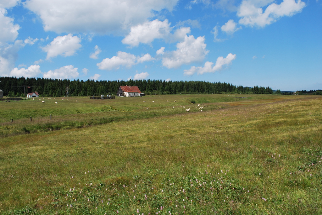 soustředění HSK_Jizerka 28.6.-2.7.2014 (7)