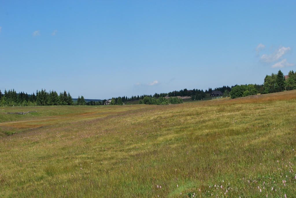 soustředění HSK_Jizerka 28.6.-2.7.2014 (9)